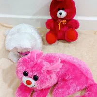 عروسک پولیشی