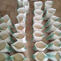 عرضه مستقیم وارسال برنج روستای گیلده آستانه اشرفیه|خوردنی و آشامیدنی|آستانه اشرفیه, |دیوار