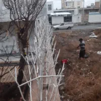 تولیدحفاظ شاخ گوزنی دراستان کرج سرخاب هشتگرد|خدمات پیشه و مهارت|کرج, اسدآباد|دیوار