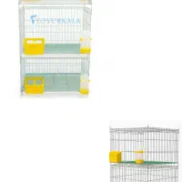 نگهداری اصولی کبوتر در قفس کبوتر|لوازم جانبی حیوانات|خلخال, |دیوار