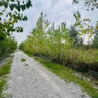 صفرجنگل/۲۰۰متری/انشعابات سرملک/اقساط بلندمدت|فروش زمین و ملک کلنگی|چمستان, |دیوار