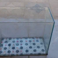 آکواریم نونو|ماهی|خزل, |دیوار