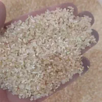 فروش حبوبات عسل کشمش برنج وخرده فجر باکیفیت|خوردنی و آشامیدنی|صدرا-فارس, فاز ۲|دیوار