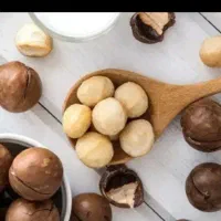 فندوق ماکادمیا|خوردنی و آشامیدنی|مشهد, کوشش|دیوار