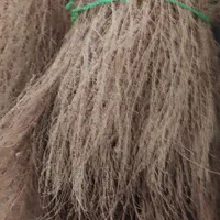 جارو  یا گەسک