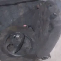 لوازم استوک زانتیا