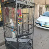 قفس بزرگ طوطی در حد نو|لوازم جانبی حیوانات|رباطکریم, رباطکریم|دیوار