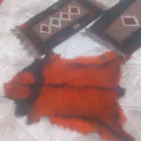 پوست  و چرم  وقالیچه دستباف|فرش|گرمسار, |دیوار