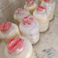 خانه و آشپزخانه خوردنی آشامیدنی