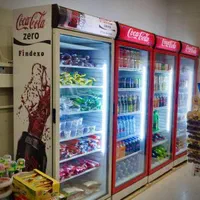 یخچال ویترینی و ایستاده