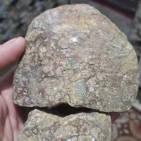 س قیمتی