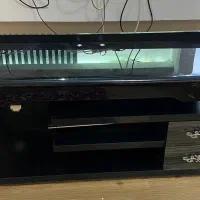 میز تلوزیون و فرش|فرش|اردبیل, |دیوار