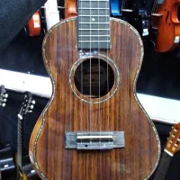 گیتار اکوله له والنسیااسپانیایی گالری موسیقی آرتیا