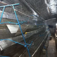 قفس مرغ تخمگذار منبری