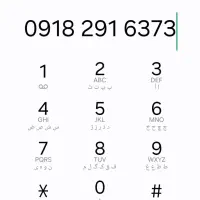 0918-291-63-73 دائمی