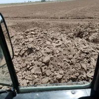 فروش کود عمده سالنی|عمدهفروشی|اصفهان, گورت|دیوار