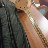 سه تار استاد مجید صفری