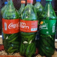 خیارشور