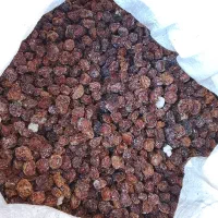 الوچه خشک محلی|خوردنی و آشامیدنی|اندیکا, |دیوار