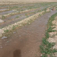 فروش زمین کشاورزی