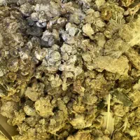 کود زل فضله چلغوز کبوتر سده لنجان