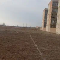 الغدیر 16 کاربری مسکونی دارد