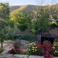 باغ-ویلا-عارفی-باغ-عارفی-زمین-باغی