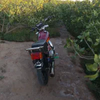 موتور