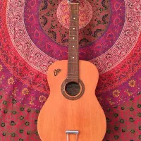 گیتار آکوستیک Eko ایتالیایی