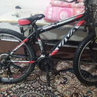 ویوا کوهستانی 26