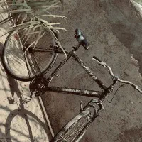 دوچرخه معاوضه با گوشی در حد خودش