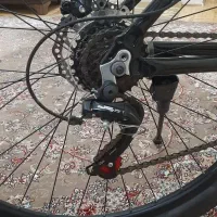 دوچرخه سایز۲۹ آلپینا