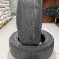 لاستیک سمندی