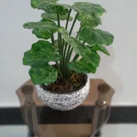 گل ۱۸برگ مصنوعی