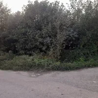 فروش زمین مسکونی|فروش زمین و ملک کلنگی|شفت, |دیوار