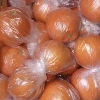 پرتقال تامسون نایلون پیچ