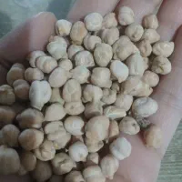 نخود|خوردنی و آشامیدنی|خرم‌آباد, |دیوار