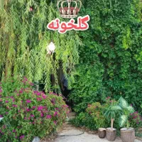 فروش گل‌های آپارتمانی به قیمت تولید ارزان|گل و گیاه طبیعی|اصفهان, باغ فدک|دیوار