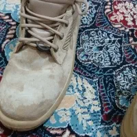 کفش کار|کیف، کفش، کمربند|اندیمشک, |دیوار