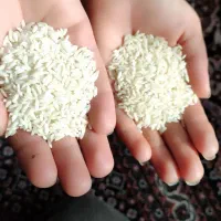 100کیلوبرنج سالم به شرط