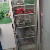 یخچال فروشگاه