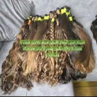 فروش مو 30 سانت طبیعی کد 2376