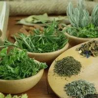 سونوگرافی آنلاین و رایگان از روی زبان