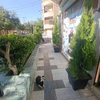 واکذاری سوپر مارکت لاکچری