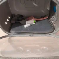 کیف گربه نو