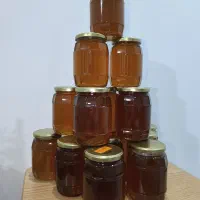 فروش انواع عسل درمانی به شرط|خوردنی و آشامیدنی|تهران, ابوذر|دیوار