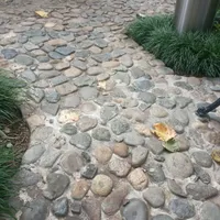 جویای همکار املاکی جهت مشارکت در کلیه امور ملکی