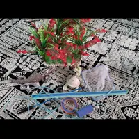 آکواریوم شیشه خم شرکتی|ماهی|رشت, کوی جام جم|دیوار
