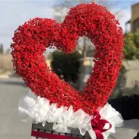 گل ناجی