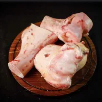 قلم شتر درجه یک